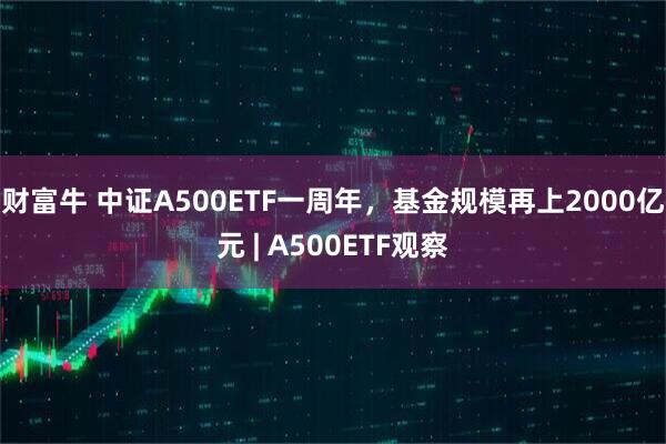财富牛 中证A500ETF一周年，基金规模再上2000亿元 | A500ETF观察